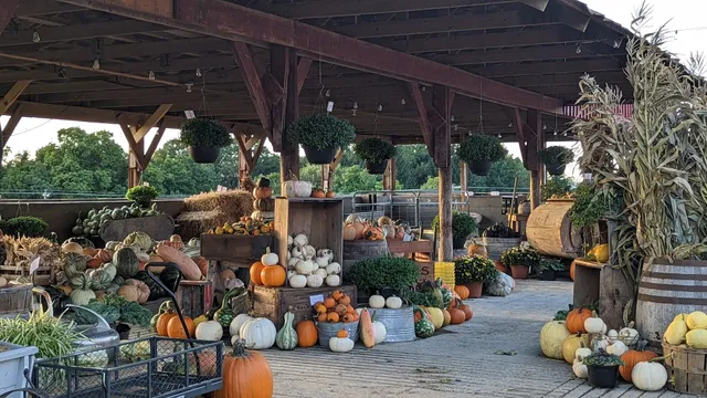 Tiashoke: Farm, Store & More