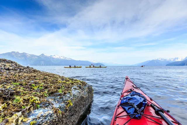 Sunny Cove Kayaking - Fox Island