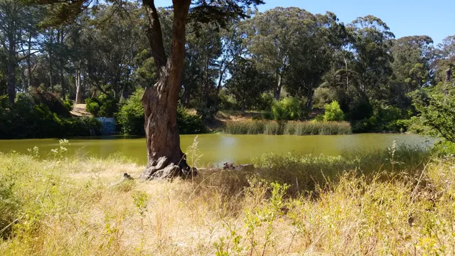 Elk Glen Picnic Area
