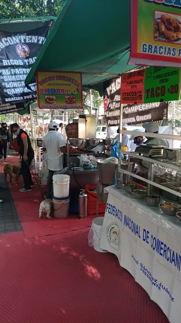 Tianguis de los Sábados Parque Lincoln