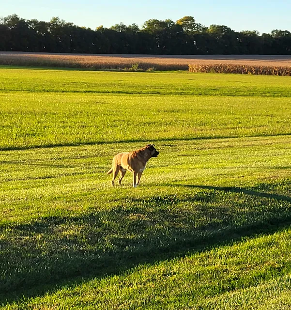 Shelby County Fairgrounds