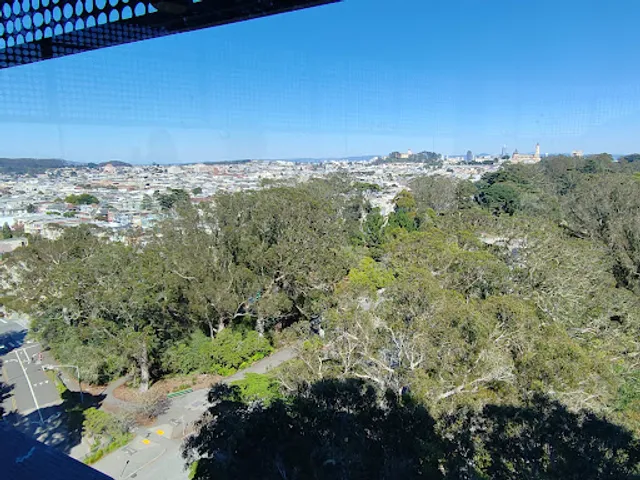 Hamon Observation Tower