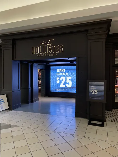 Hollister Co.
