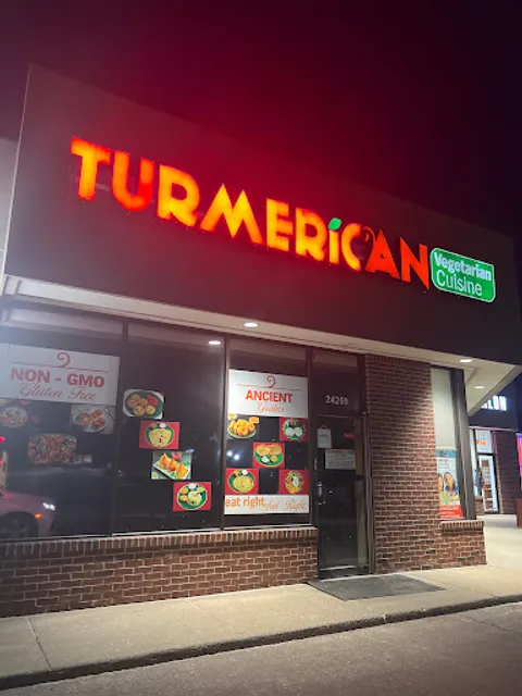 TURMERICAN VEGETARIAN CUISINE