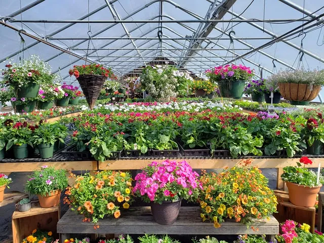 Tromblee's Greenhouse