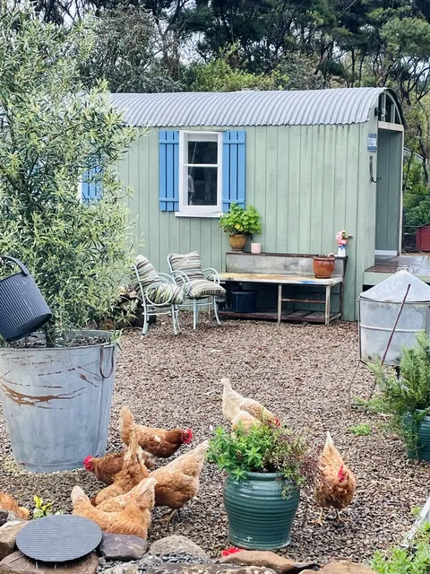 Driftwood Seaside Escapes