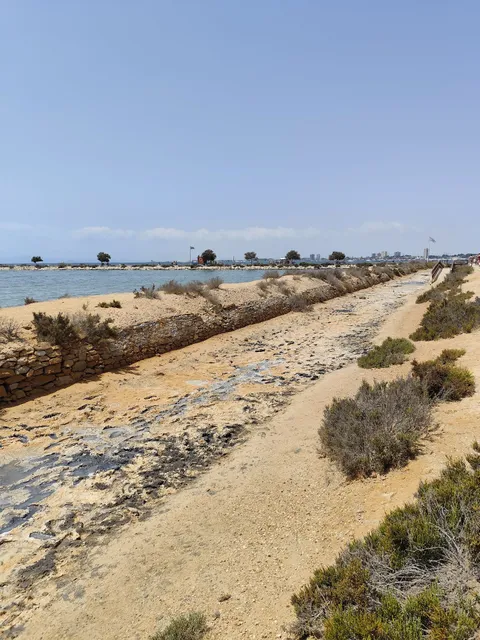 Lo Pagán, San Pedro del. Pinatar