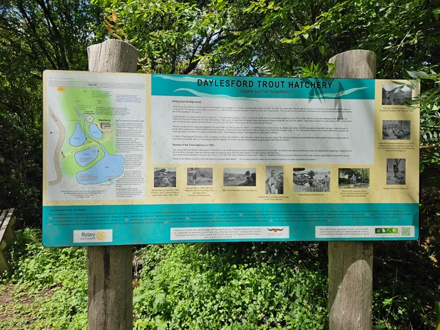 Mineral Water Spring