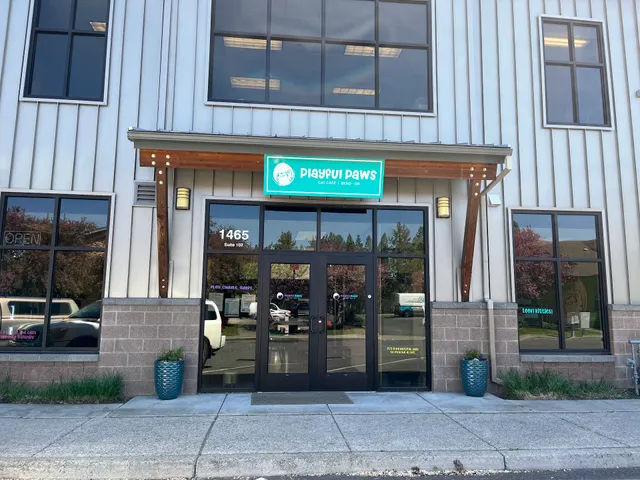 Playful Paws Cat Café