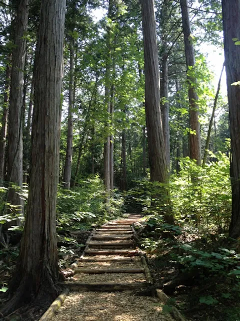 Akasawa Natural Recreational Forest