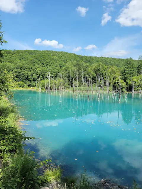 Shirogane Blue Pond (Aoiike)