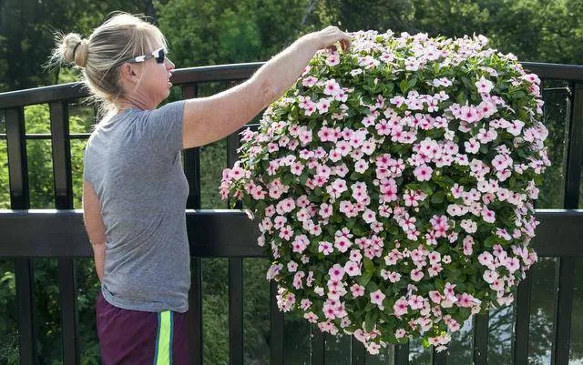 Hidden Gardens Nursery & Garden Center