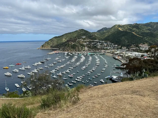 Lee's Scenic Overlook