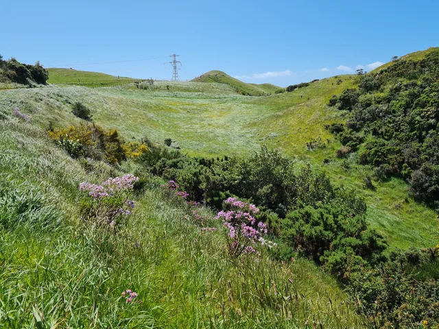 Skyline Walkway trailhead - Old Coach Road