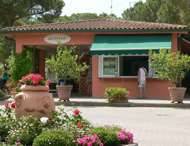 Camping Ville degli Ulivi