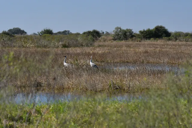 Brazoria National Wildlife Refuge - Discovery Center