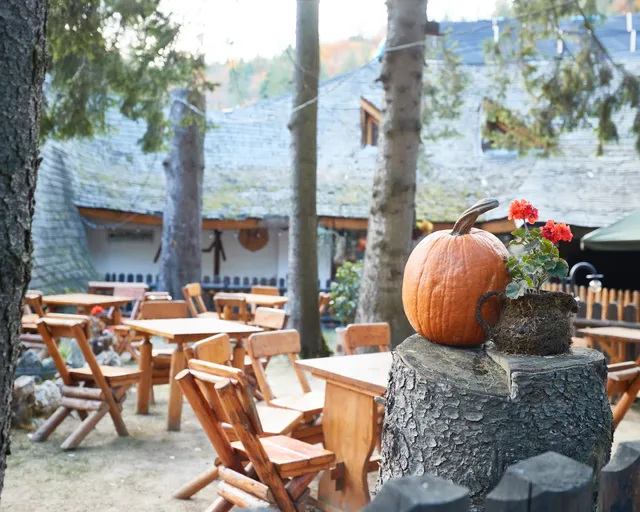 Restaurant Șura Dacilor