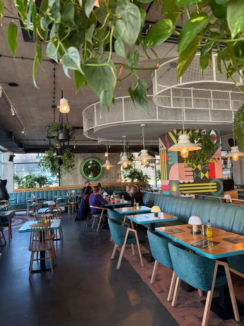 Norma - makarony etc.