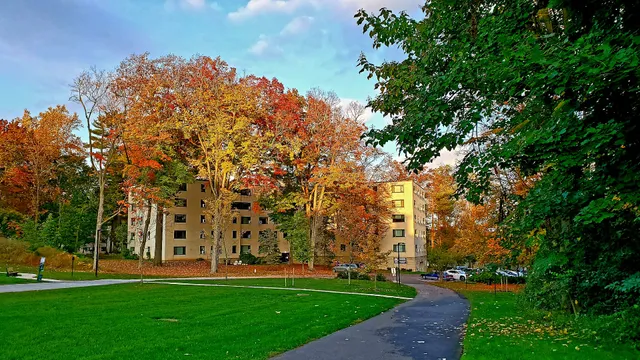 Thomas Wynne Apartments