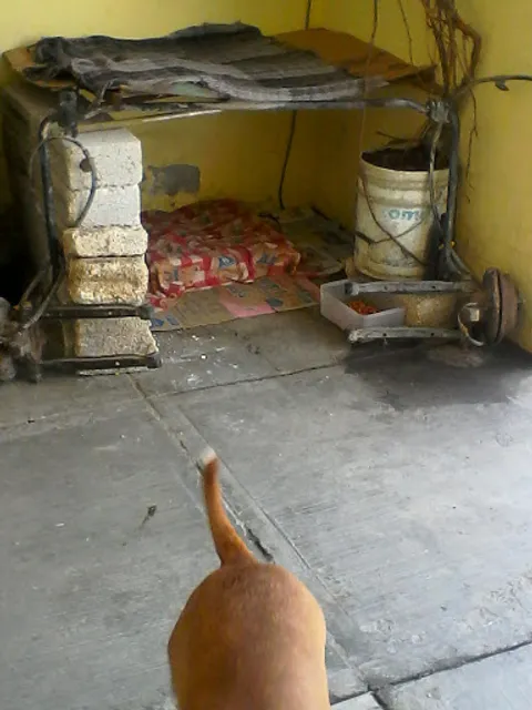 Los postres de Gloria May