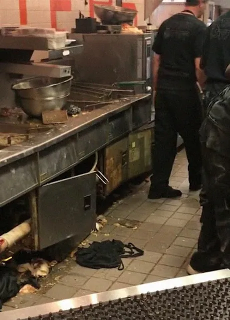 Cheba Hut "Toasted" Subs