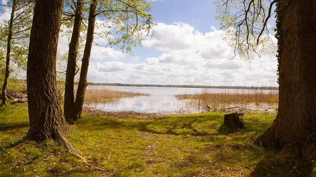 Ferienhaus Friedrichsmilde