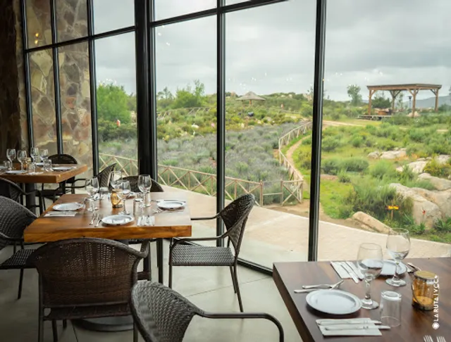 Salvia Blanca Cocina