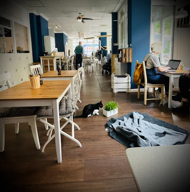 Katers Köök - veganes Deli & Katzencafé