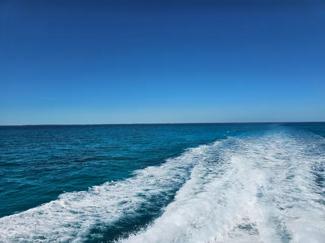 Glass Bottom Boat Tours