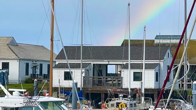 Chums A Shop by the Sea