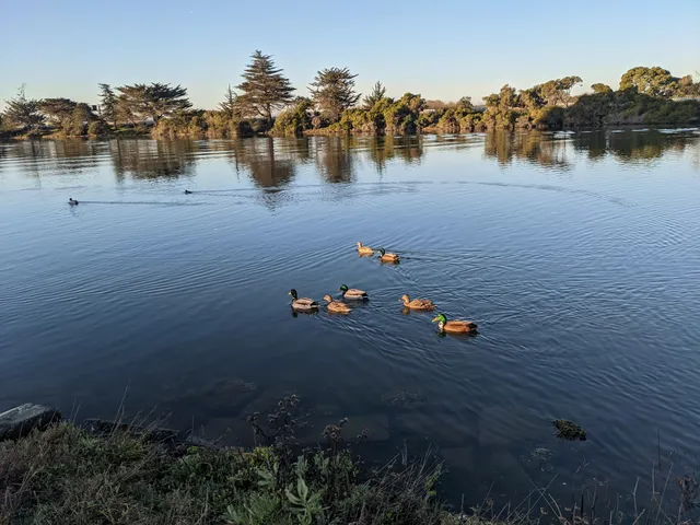Aquatic Park
