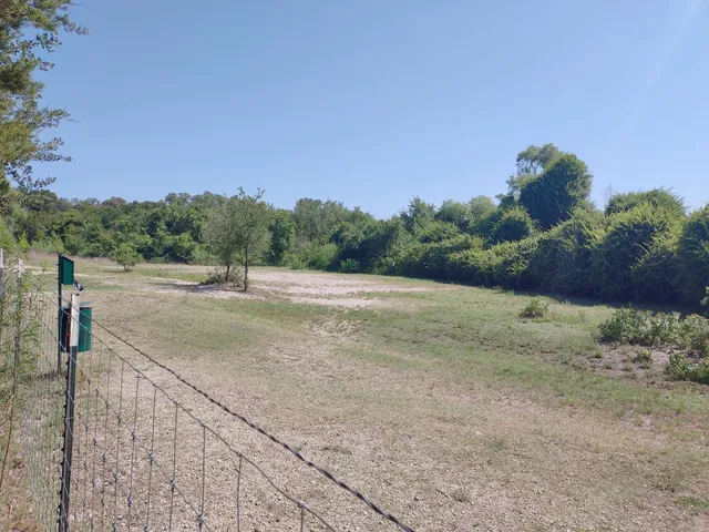 McCann Park Dog Park