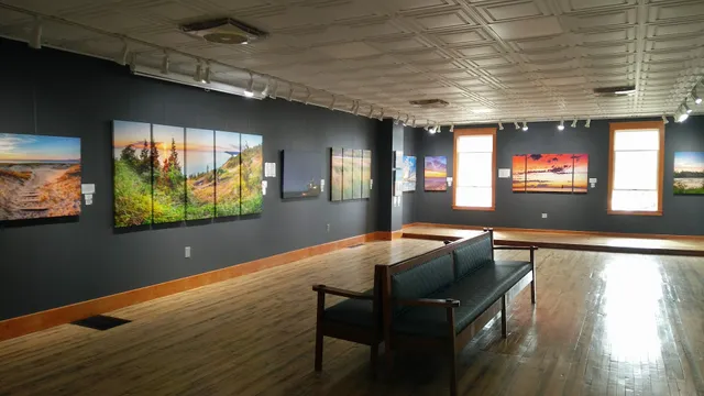 Focus Gallery