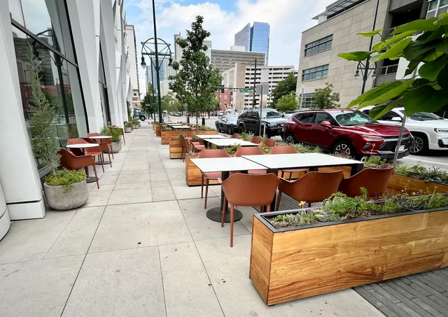 Little Owl Coffee - Populus