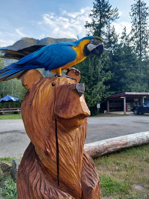 Smokey Bear Campground