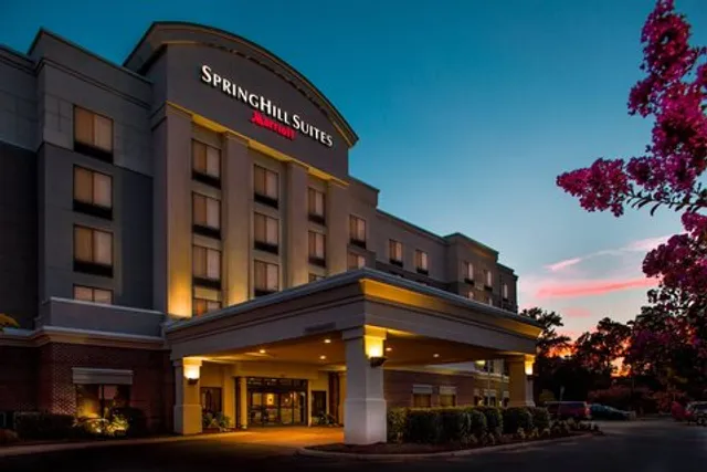 SpringHill Suites by Marriott Hampton