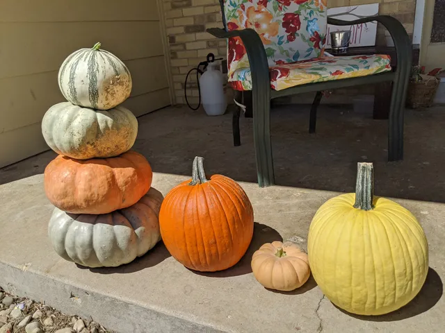 18th Street Farmers Market