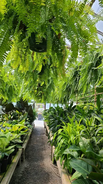 Oakdale Greenhouses, LLC