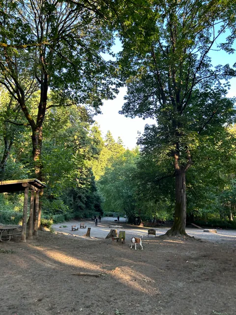 Golden Gardens Off Leash Area