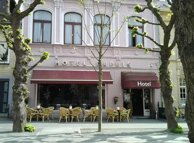 Hotel Dupuis