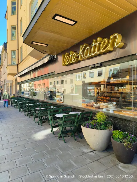 Vete-Katten Götgatan