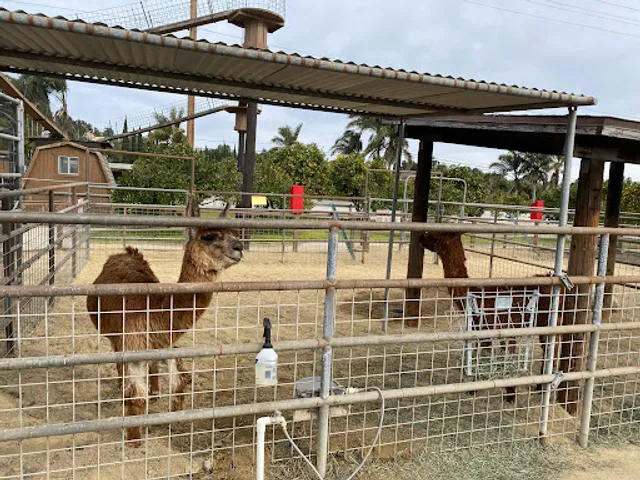 Underwood Family Farms