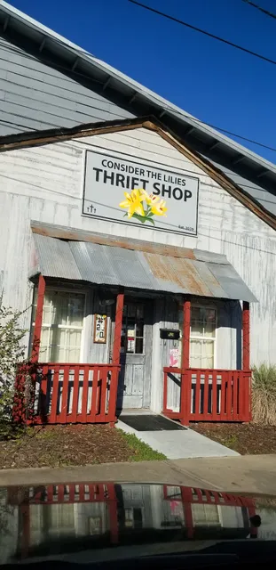 Consider the Lilies Thrift Shop