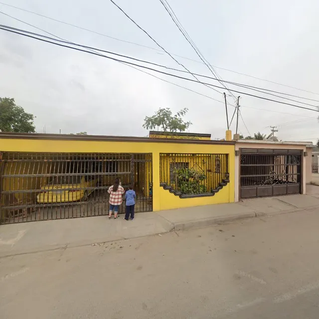 Percheronísimo De Los Yaquis