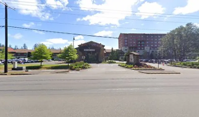 Timber Table Kitchen
