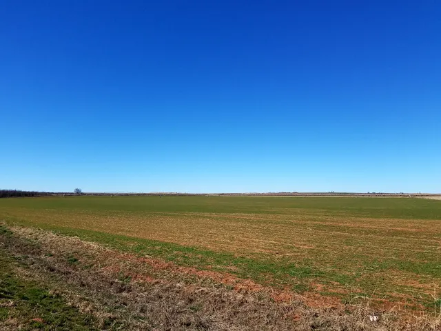 Lasley Family Farm LLC