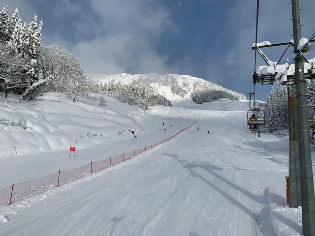 Joetsu Kokusai Ski Resort Osawa Gelande