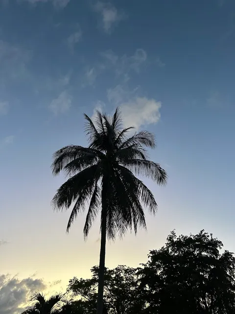 Florida Outdoors Company