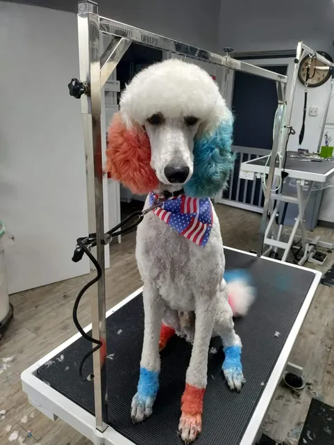 Bonney Lake Dog House