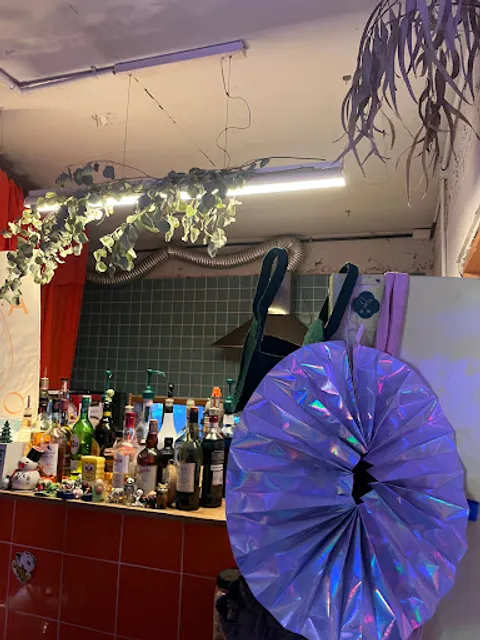 뮤직 펍, 욜라탱고